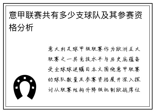 意甲联赛共有多少支球队及其参赛资格分析